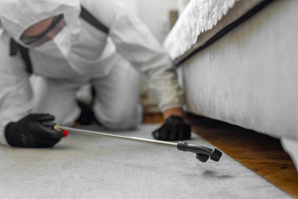 Professional Bed Bug Control technician working in Fairfax Station, VA