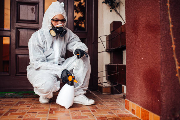 Reliable Bed Bug Control contractor in Fairfax Station, VA by Nex Pest Control